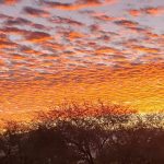 Arizona sunrise – Mary Olney-Loyd