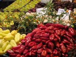 Abundant peppers, Budapest - Ana Gobledale