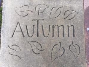 Autumn, Basingstoke UK -- Ana Gobledale