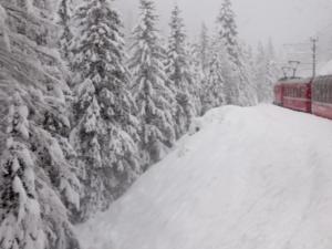 Train in snow -- Carol Kreis