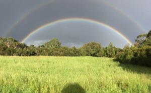 Rainbow at Dandenong Creek, Mulgrave - Theresa Taylor, Australia