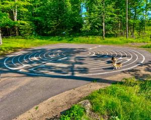 Dogs walking labyrinth -- Warren Lynn, USA
