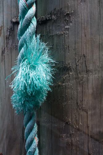 Frayed rope, Gordon River -- Lynne Roberts