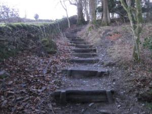 Steps to Orrest Head, Windermere, Cumbria, UK -- Ana Gobledale