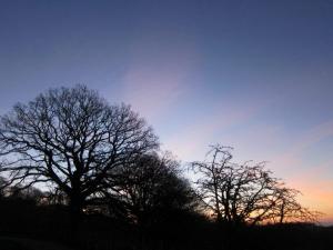 Sunrise on Orrest Hill, Windermere, Cumbria -- Ana Gobledale