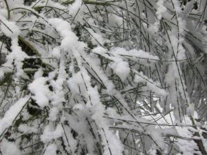 heavy snow, Cumbria UK -- Ana Gobledale