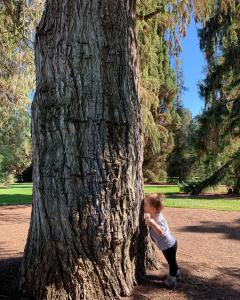 Tree hugger -- C/M Daley