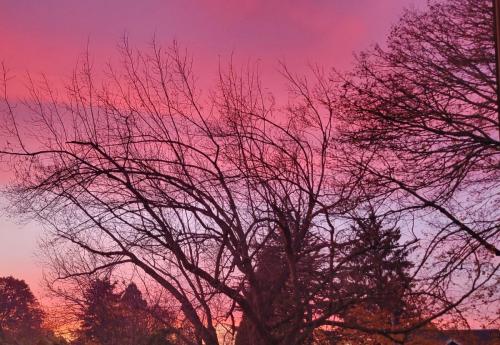 Oregon sunset - by Frank Richards
