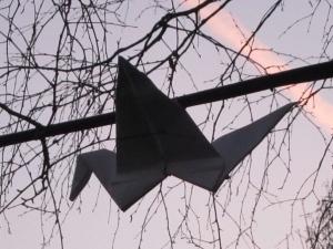 Peace dove, Salisbury UK