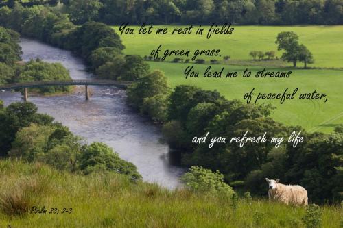 Psalm 23, Watched Word by John Potter, UK