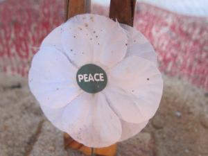 Peace poppy, Wiltshire - Ana Gobledale, UK