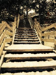Winter stairway -- photo by Thandiwe Dale-Ferguson